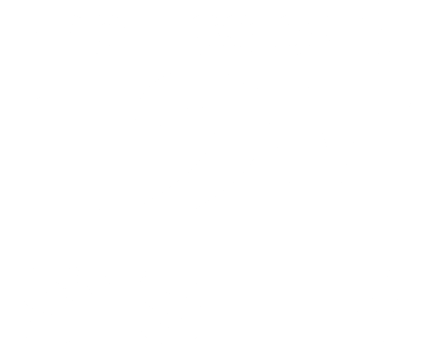 Professional 12V System